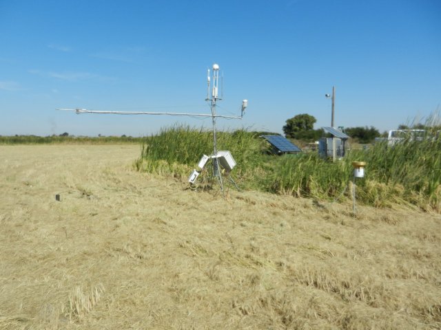 Tower on edge of chopped rice field
